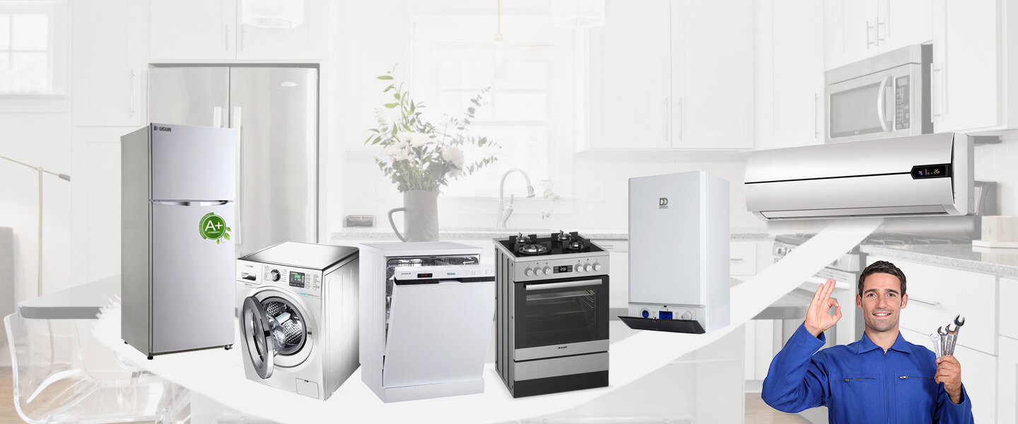 Dalaman Bosch Servisi